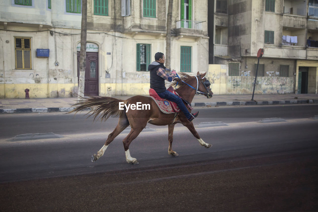 FULL LENGTH OF MAN RIDING HORSE ON STREET