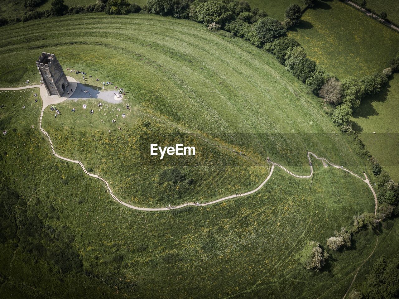 High angle view of green landscape