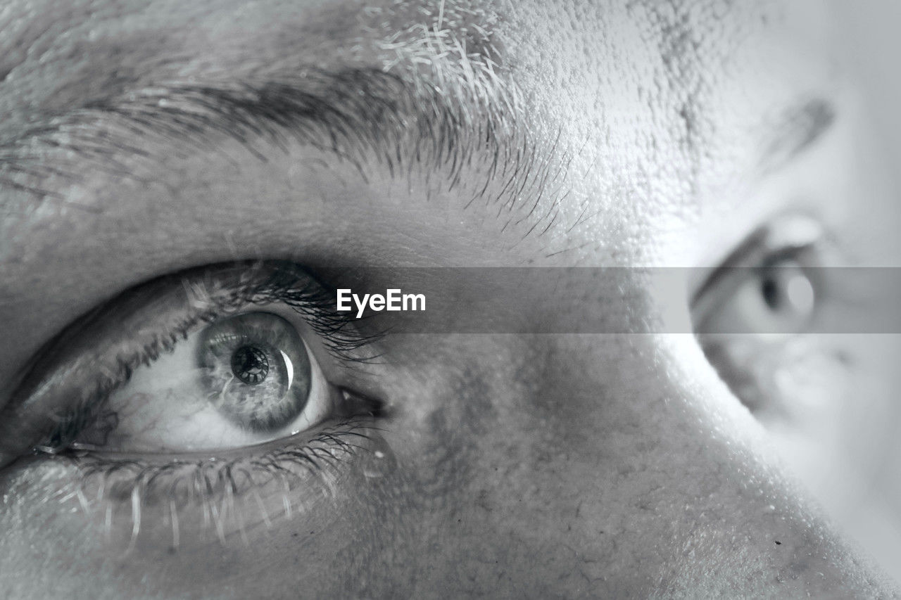cropped image of human eye