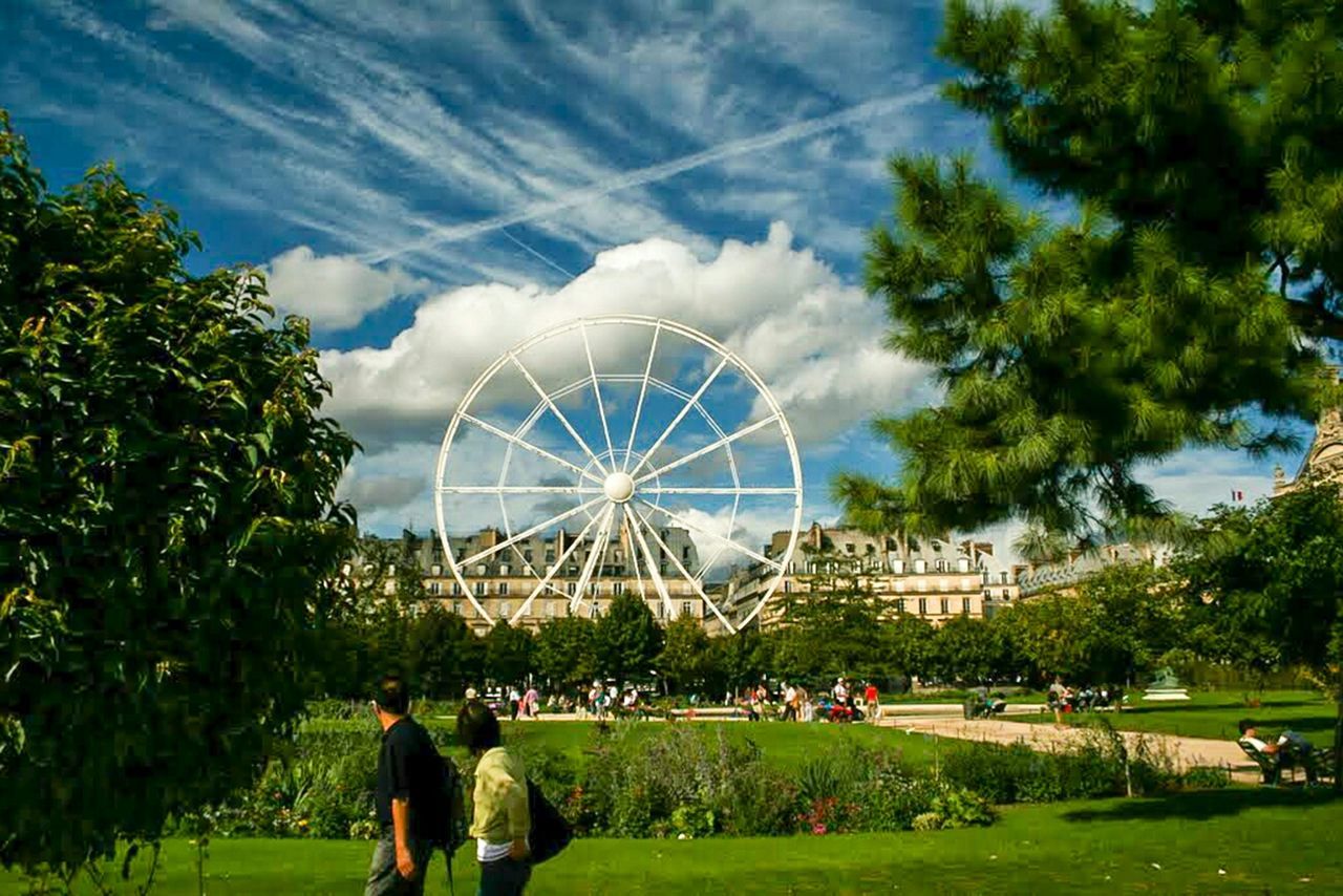 Ferris wheel in park against city buildings