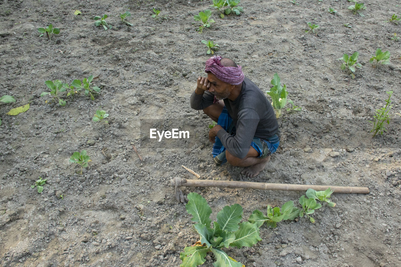 HIGH ANGLE VIEW OF WOMAN WORKING IN FARM