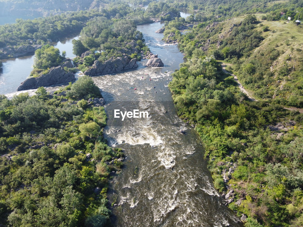 HIGH ANGLE VIEW OF PLANTS GROWING ON SHORE