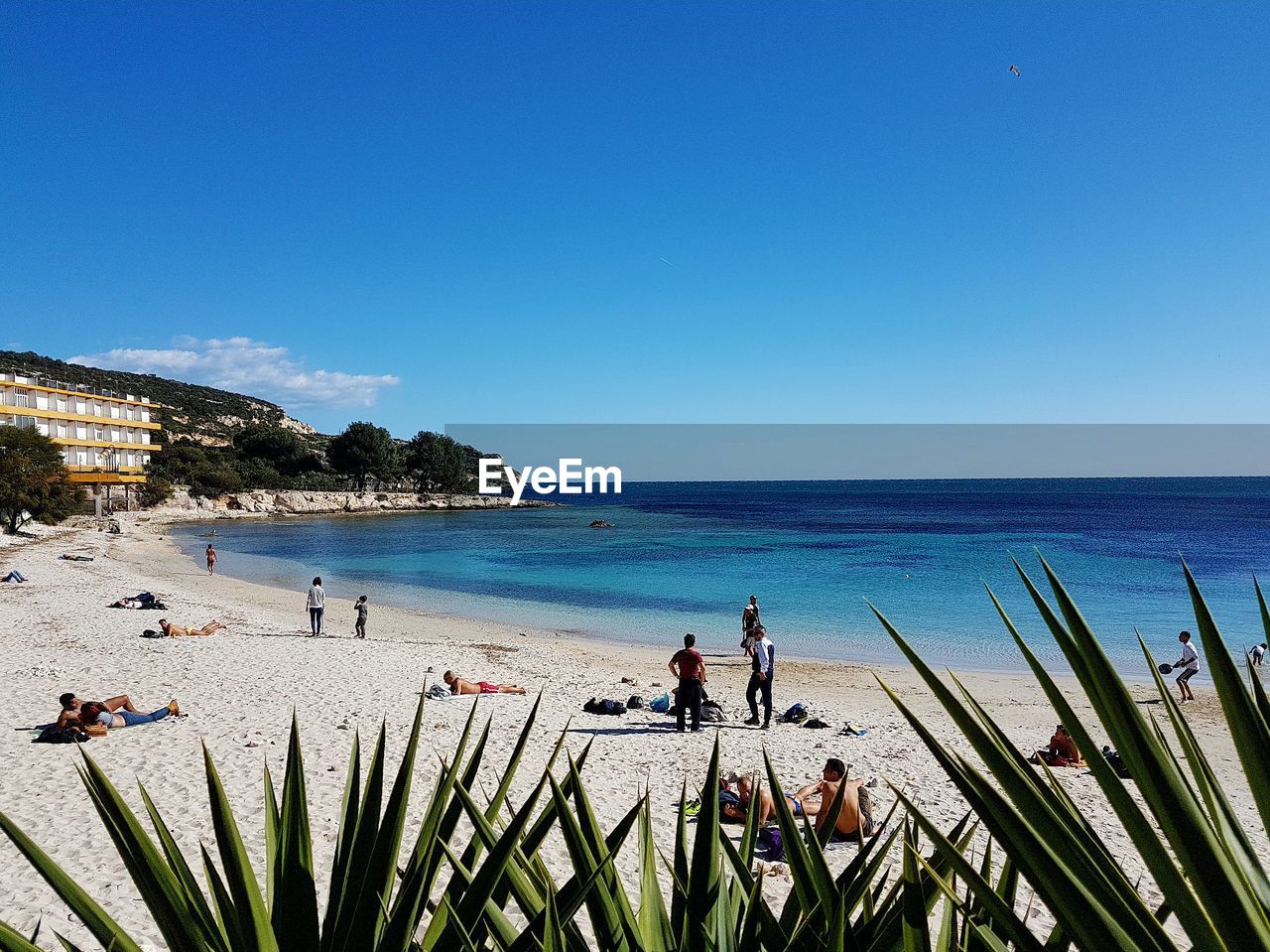 People at beach against clear blue sky