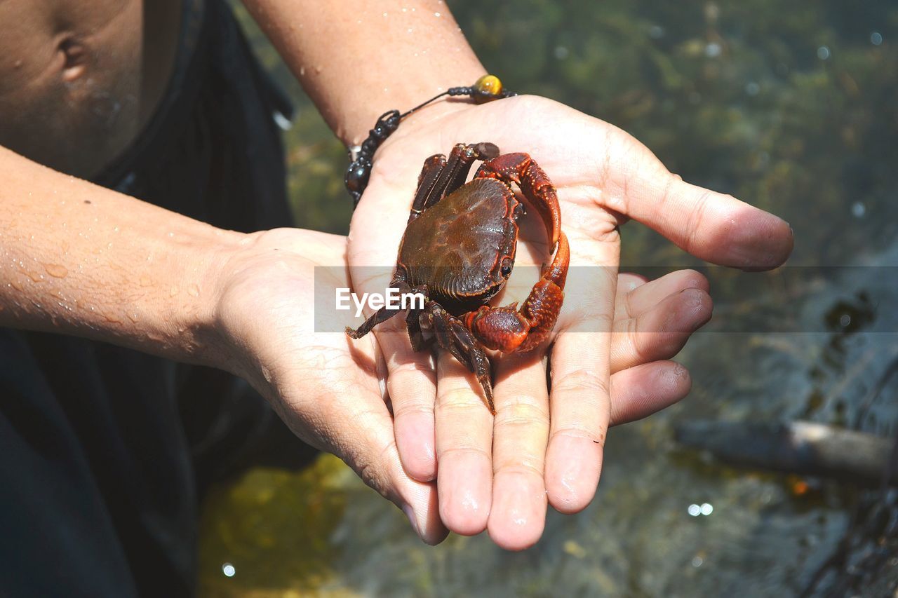 CLOSE-UP OF HUMAN HAND