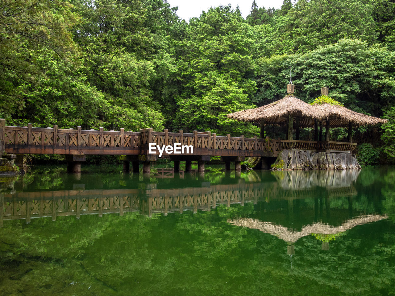 plant, tree, water, architecture, built structure, green, nature, lake, no people, gazebo, growth, roof, beauty in nature, garden, tranquility, reflection, jungle, day, building exterior, thatched roof, foliage, travel destinations, building, outdoors, lush foliage, tranquil scene, japanese garden, bridge, travel, non-urban scene, tourism, scenics - nature, sky, forest, formal garden, tradition, estate, land, waterfront