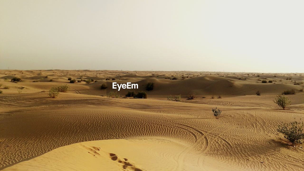Scenic view of desert against clear sky on sunny day