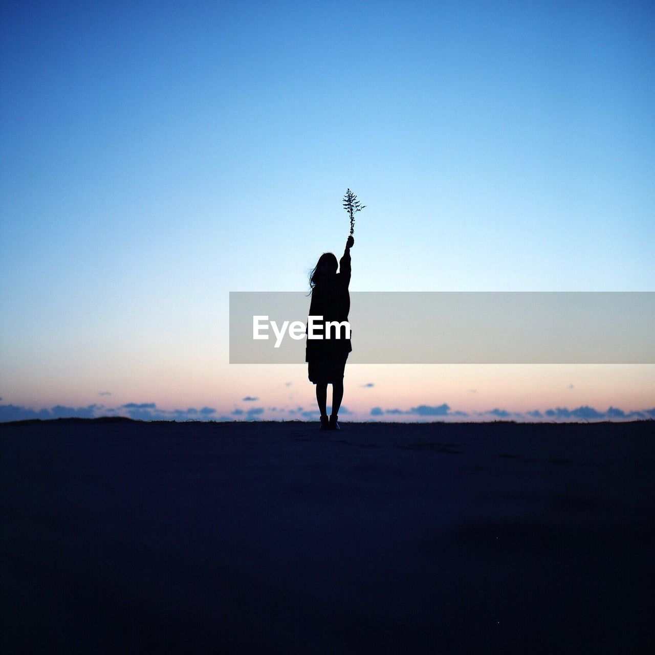 Silhouette woman holding plant while standing on field against sky during sunset