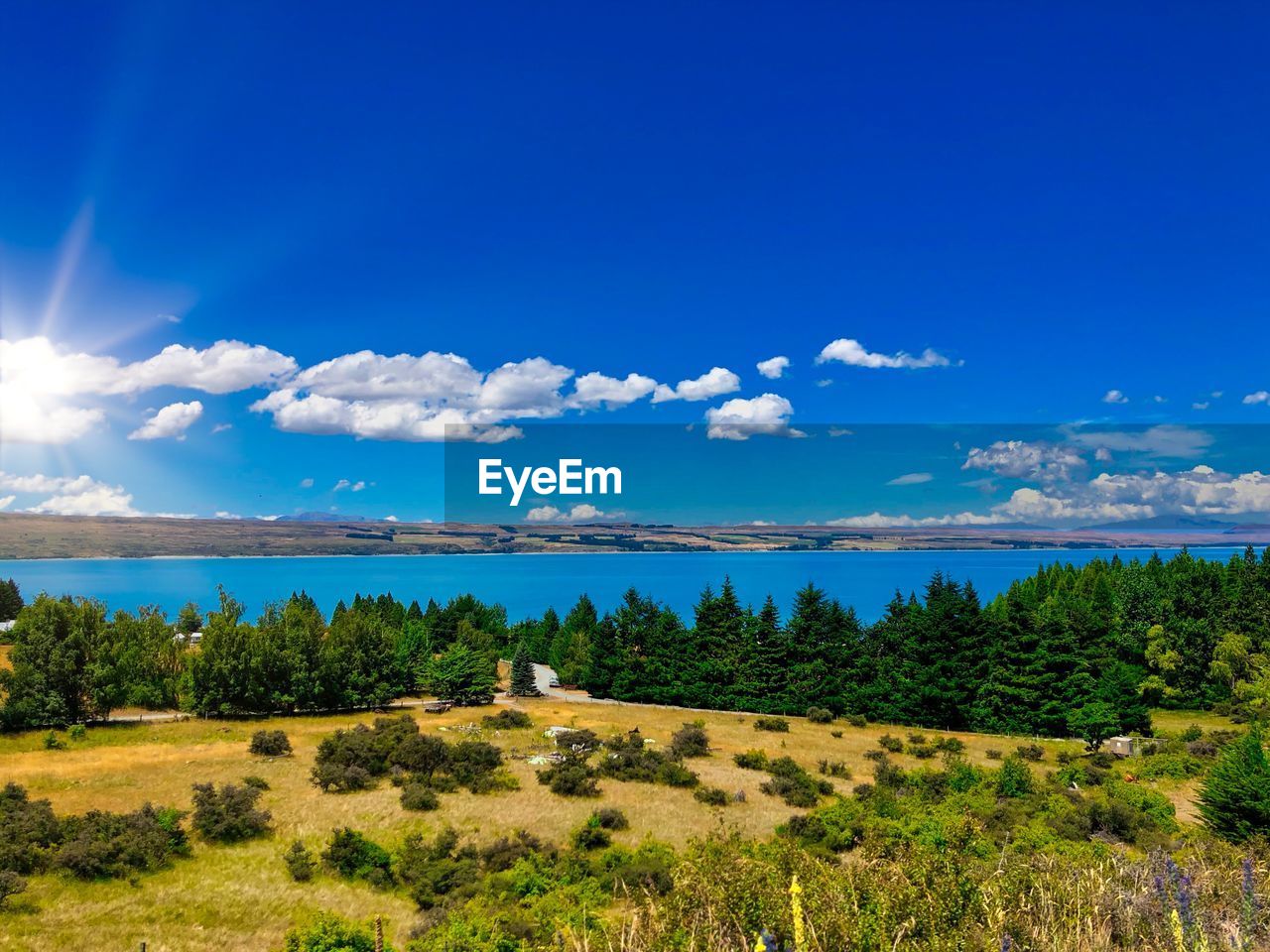 Scenic view of trees on field against blue sky