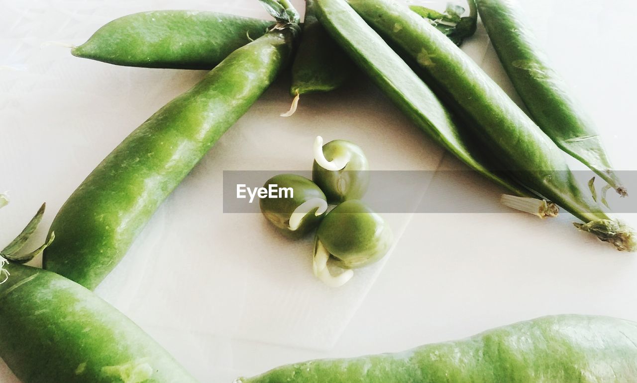 HIGH ANGLE VIEW OF GREEN CHILI PEPPERS