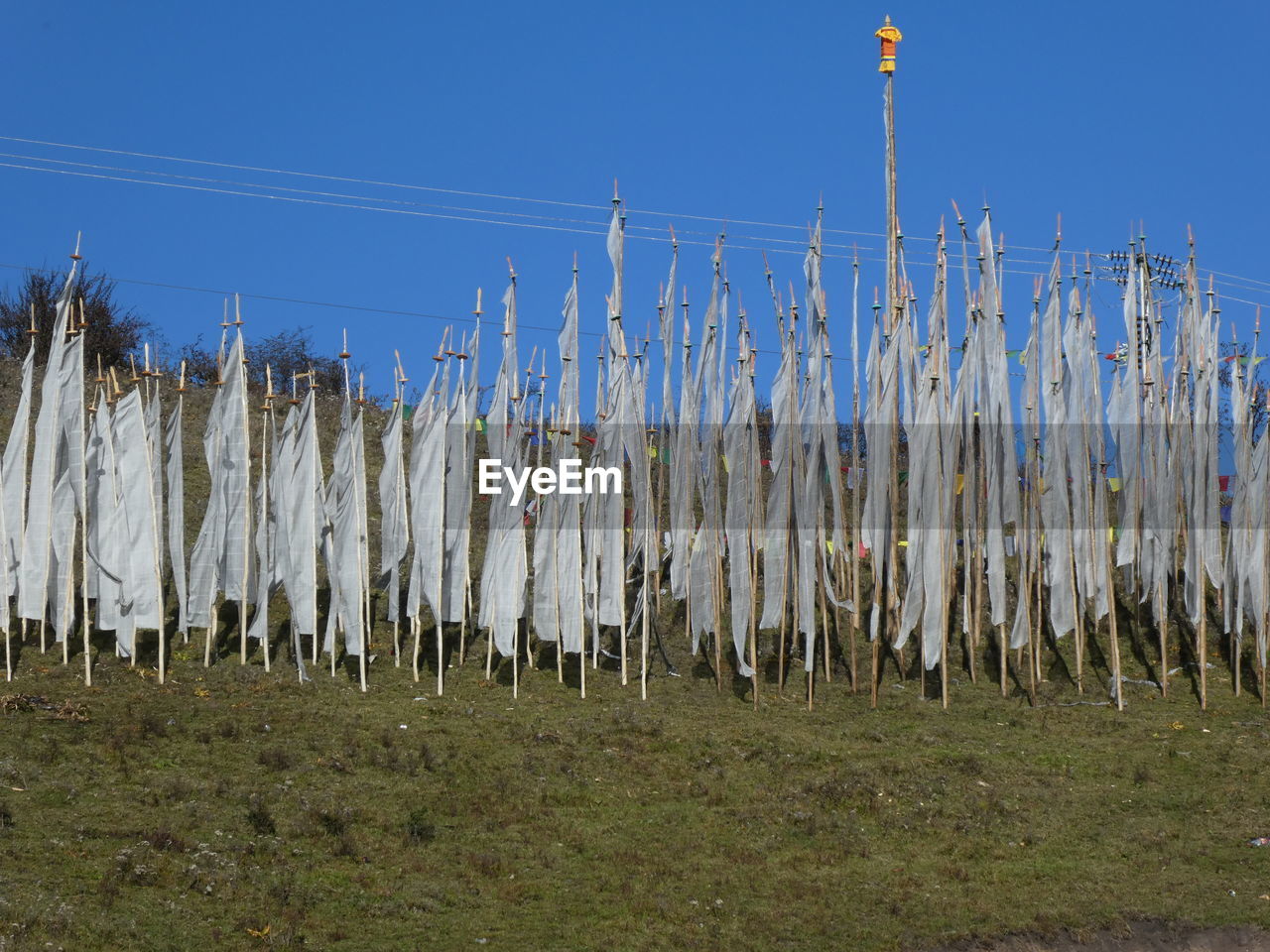 PANORAMIC SHOT OF WOODEN POST ON FIELD AGAINST SKY