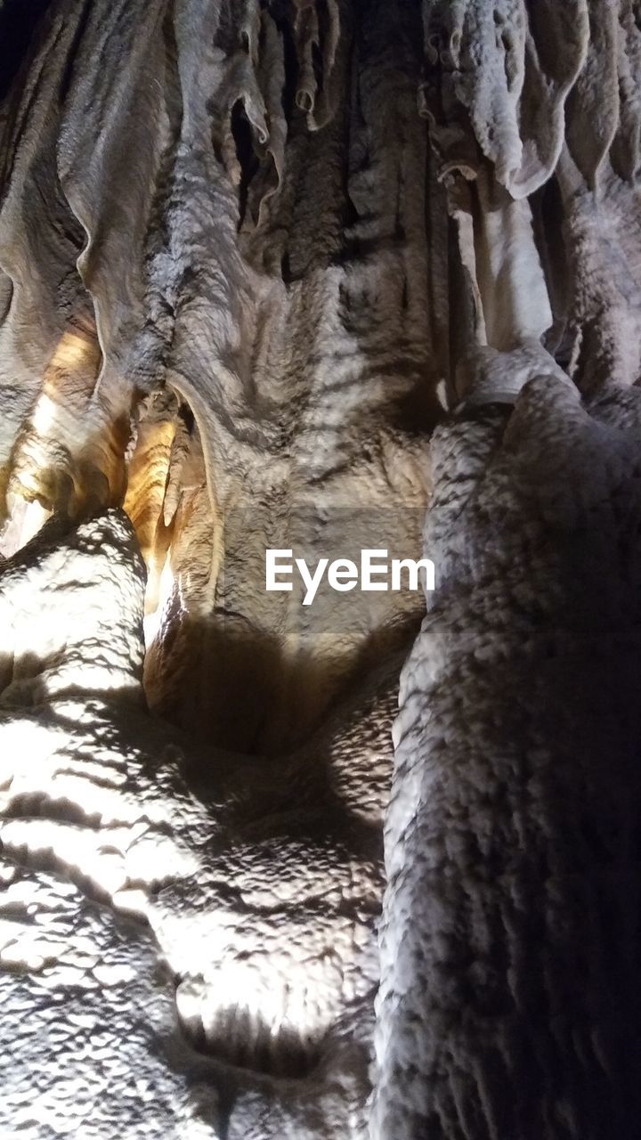 CLOSE-UP OF IGUANA ON CAVE IN THE SEA