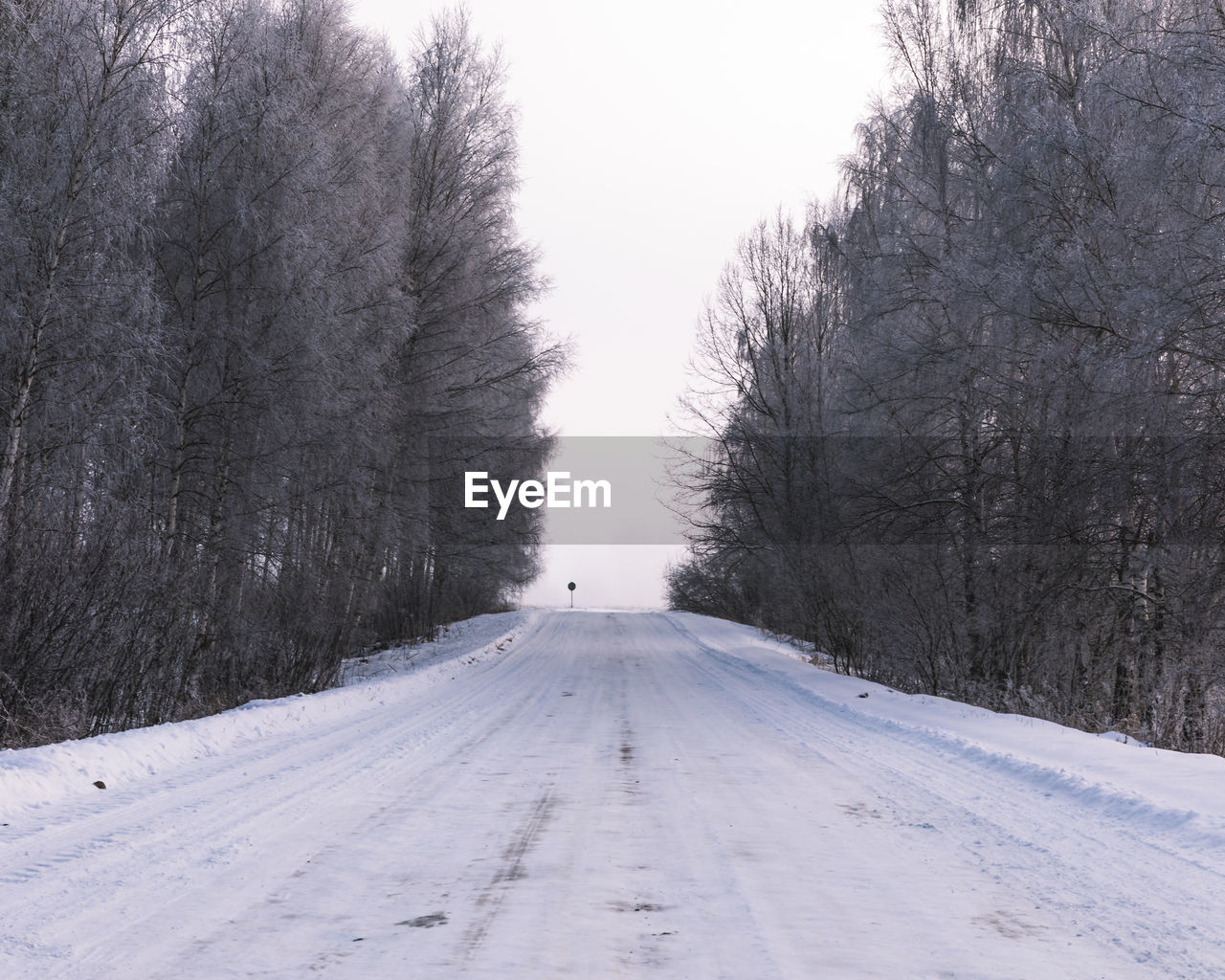 Snow covered road amidst trees against sky