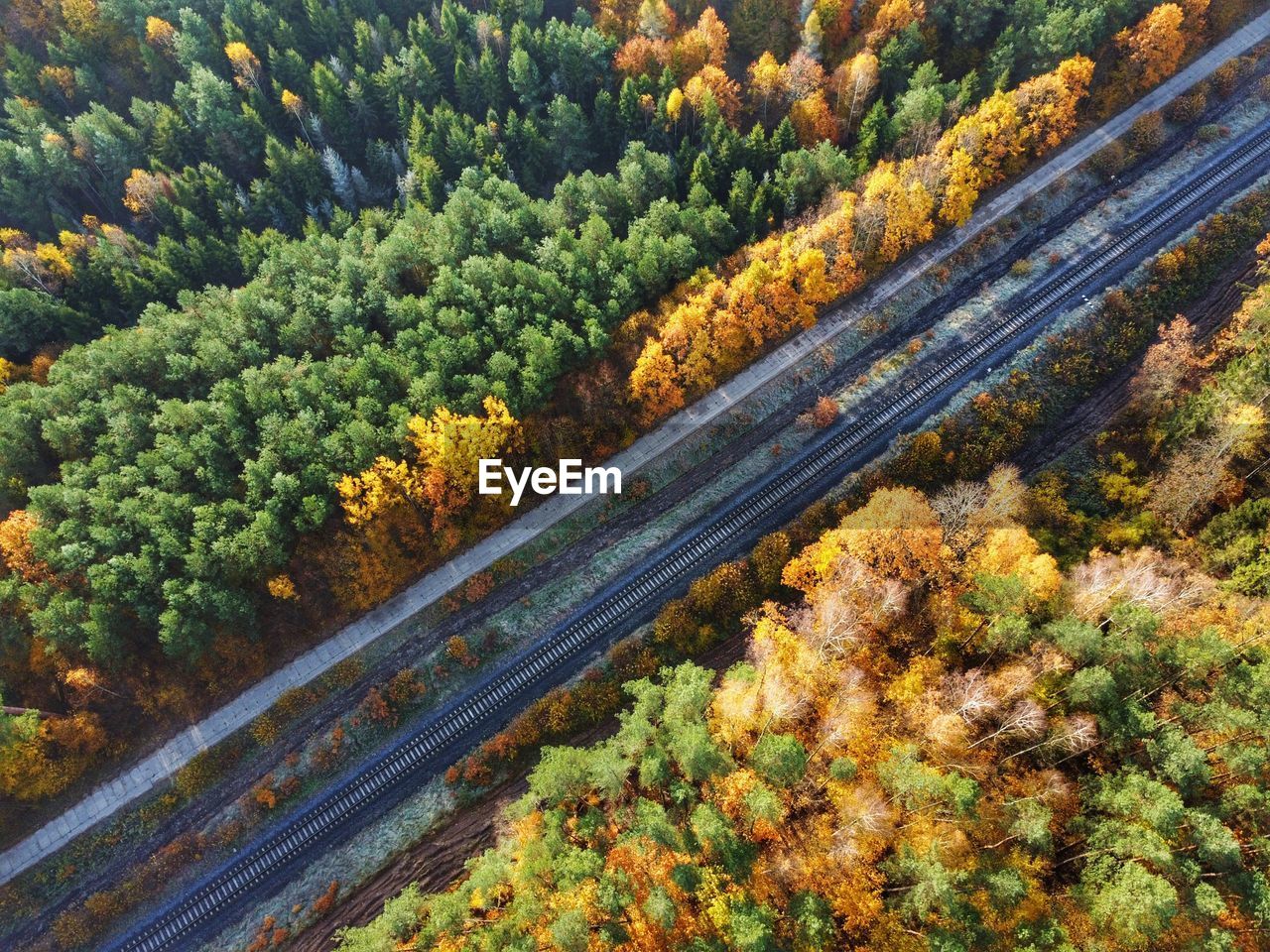 High angle view of road amidst trees in forest