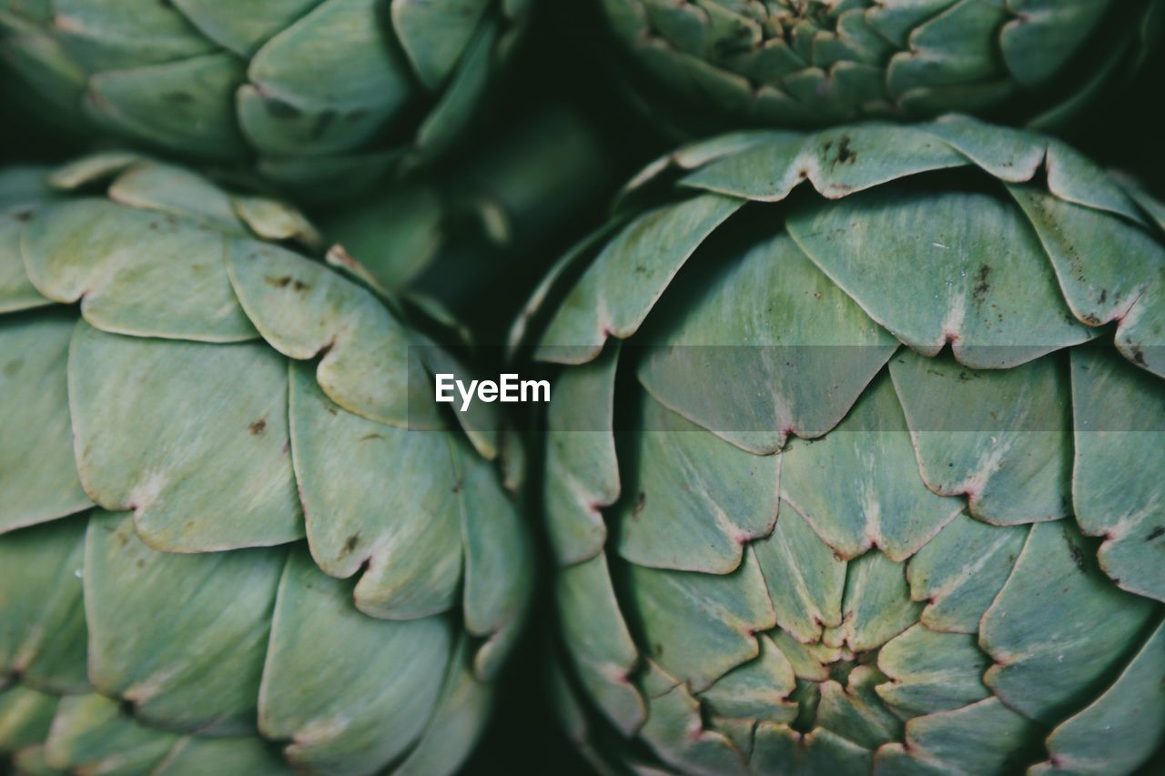 Full frame shot of green artichokes