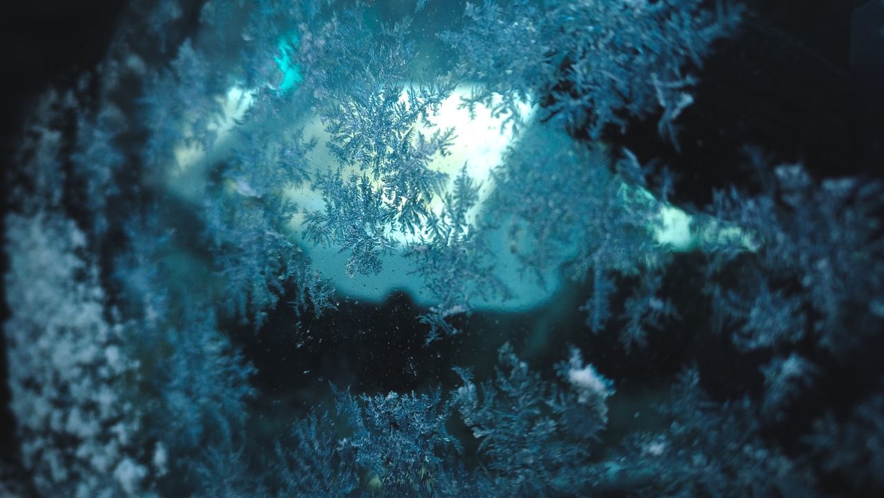 CLOSE-UP OF UNDERWATER