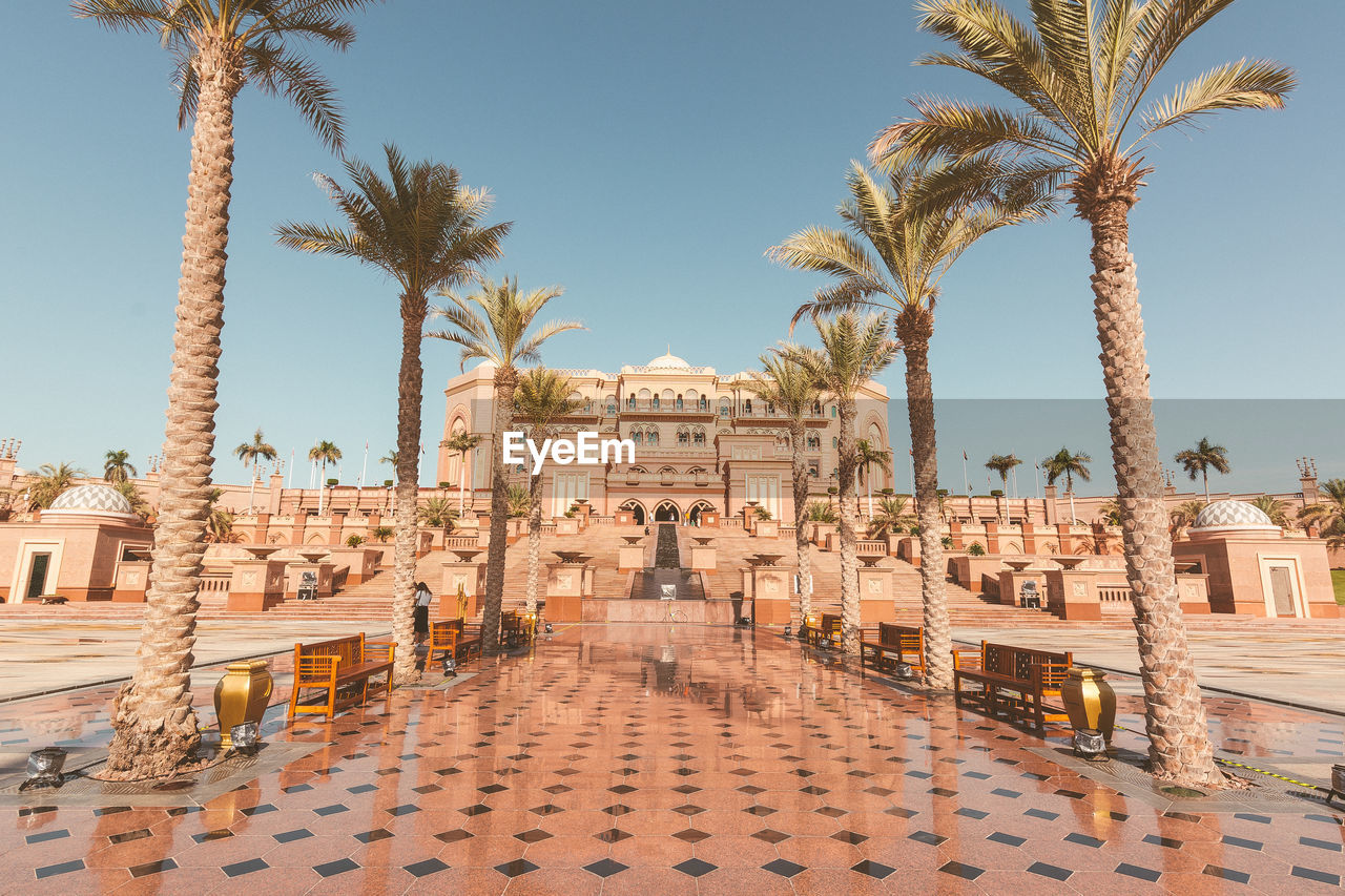 PALM TREES ALONG BUILDINGS