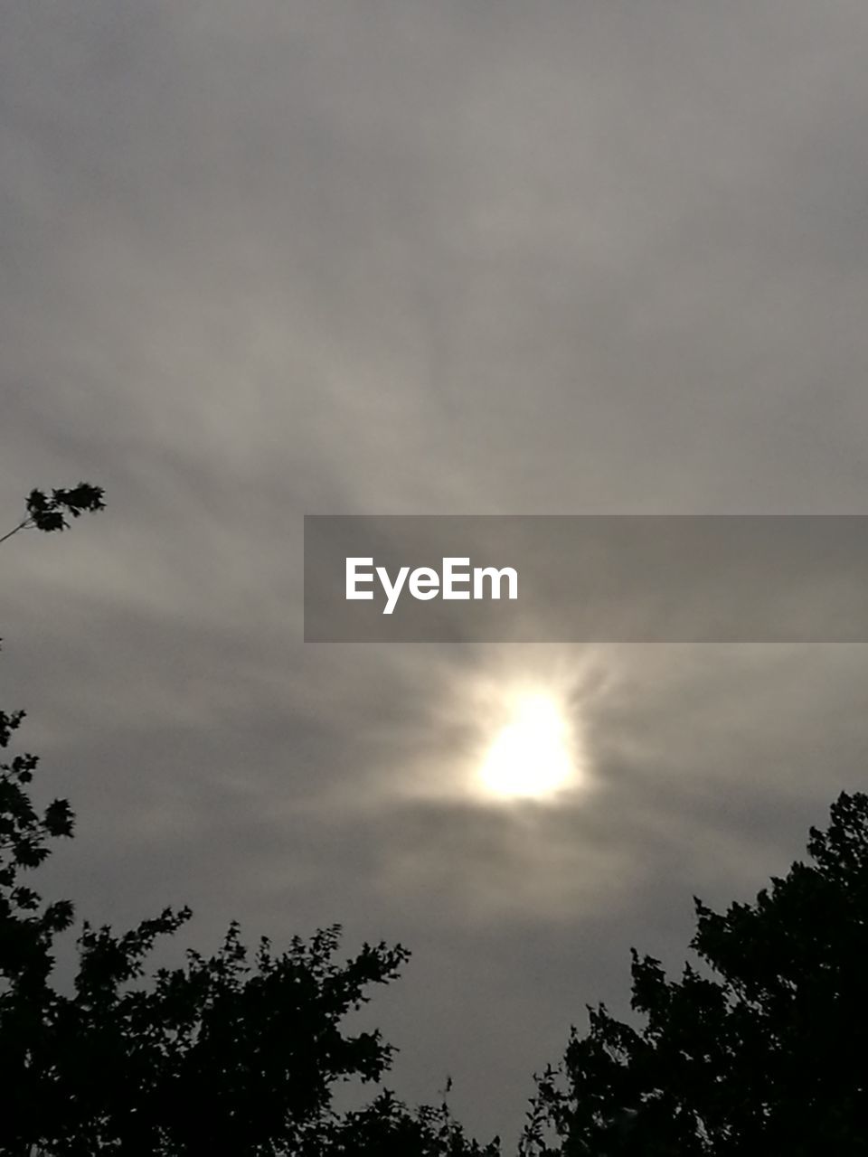 LOW ANGLE VIEW OF SILHOUETTE TREE AGAINST SKY