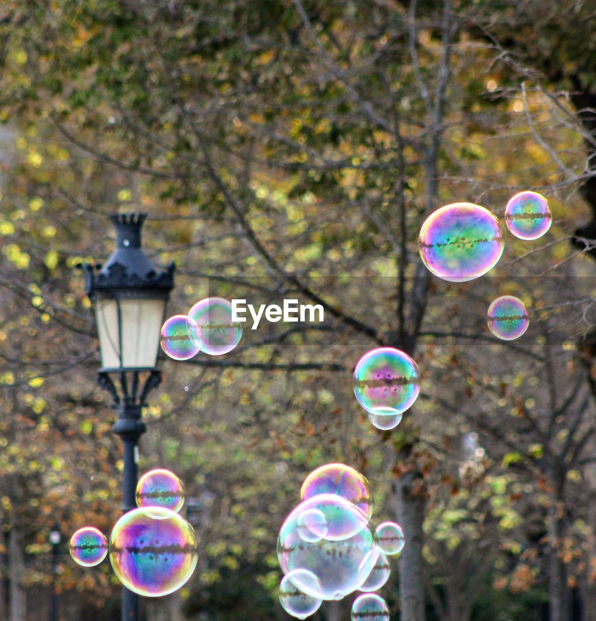 CLOSE-UP OF BUBBLES IN PARK
