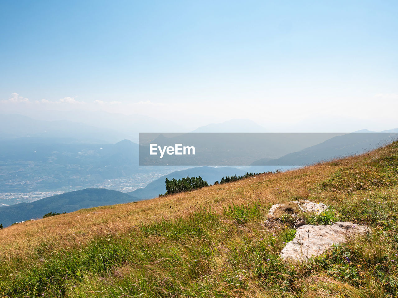 Summer meadow close to peak of gazza mountain, dolomite alps. amazing wild nature. trentino, italy