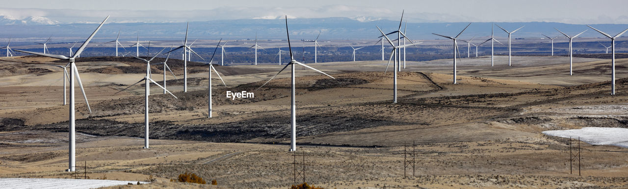 Wind turbines in a field with clear sky