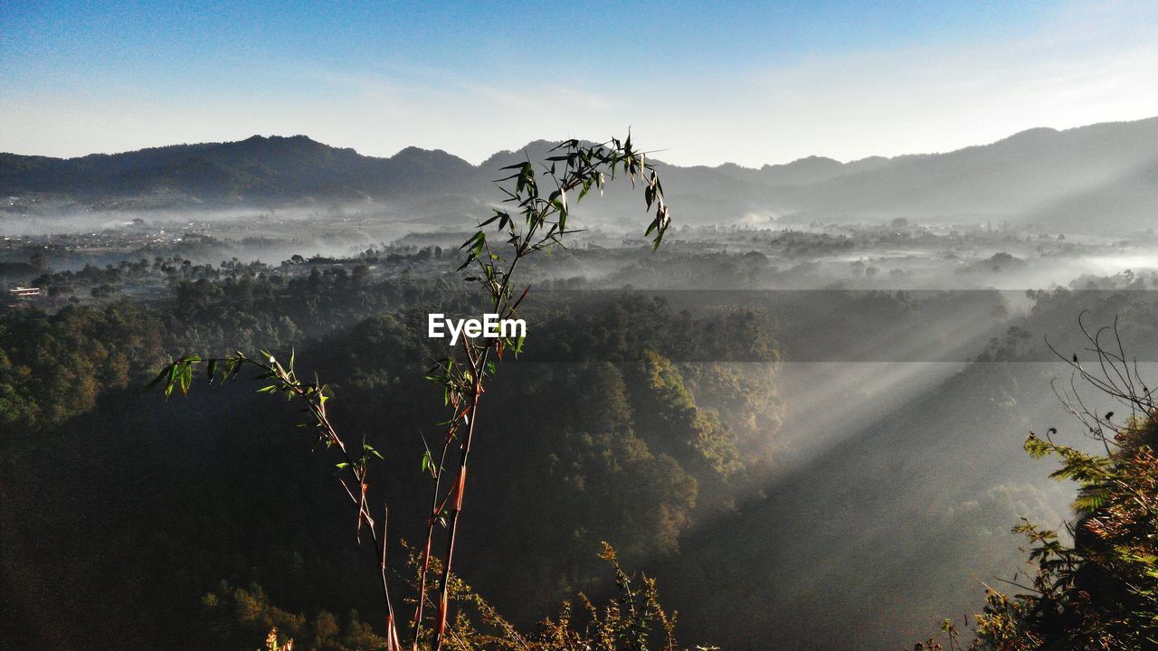 Scenic view of landscape and mountains against sky