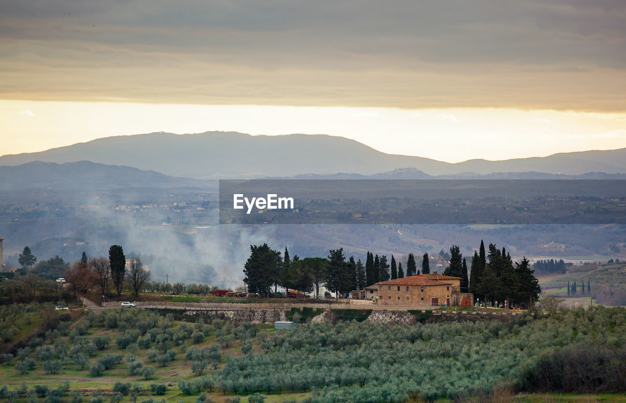 Tuscany hills rural countryside landscape, cypress passages and vineyards. wheat, olives cultivation