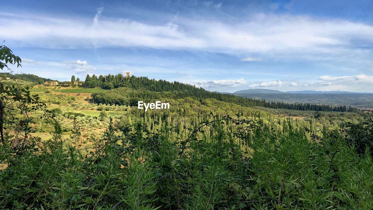 SCENIC VIEW OF LAND AGAINST SKY