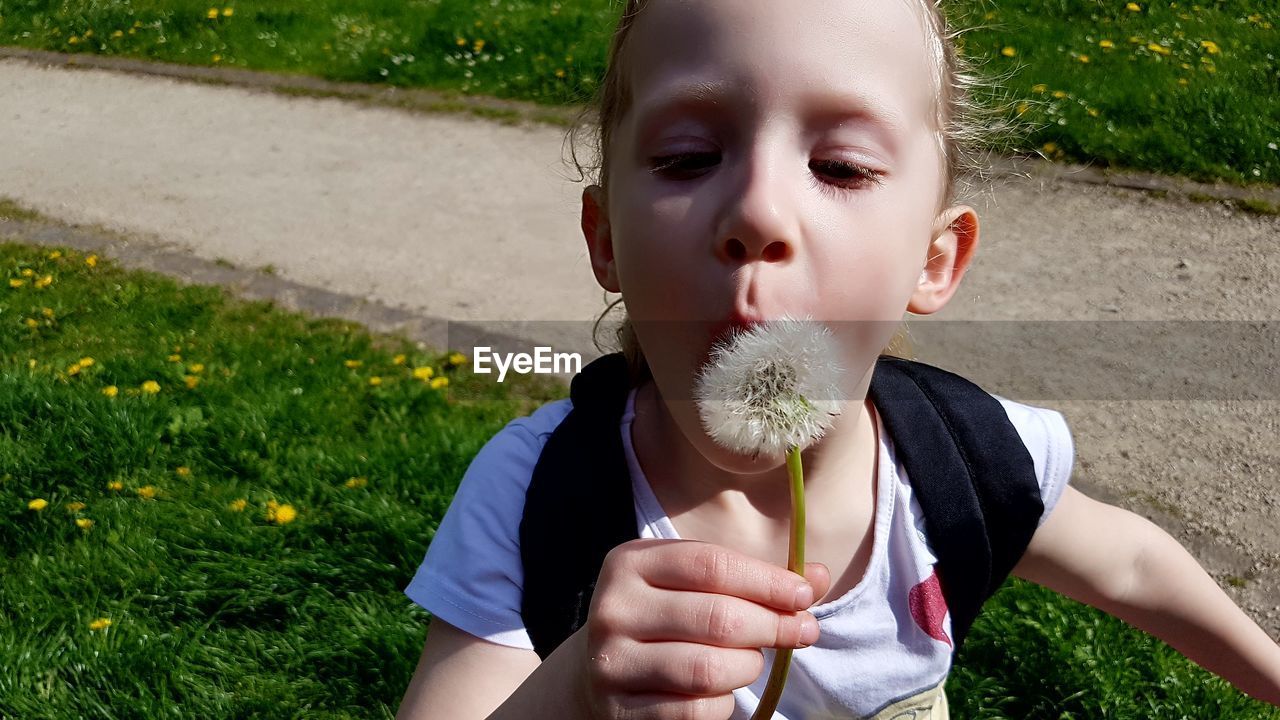 Close-up of cute girl blowing dandelion on grassy field