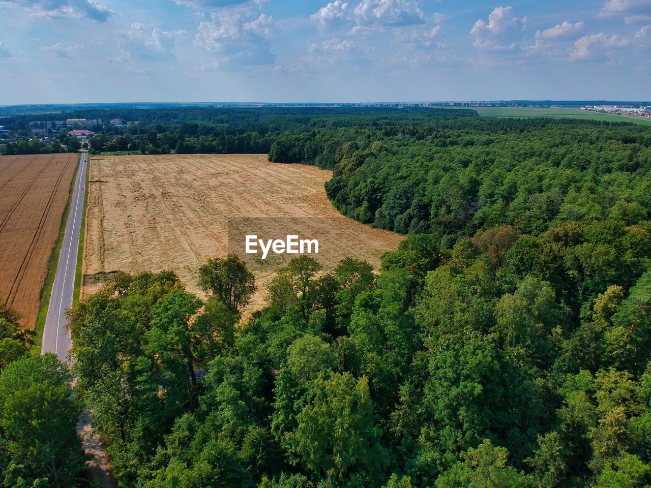 HIGH ANGLE VIEW OF TREES AND PLANTS AGAINST SKY