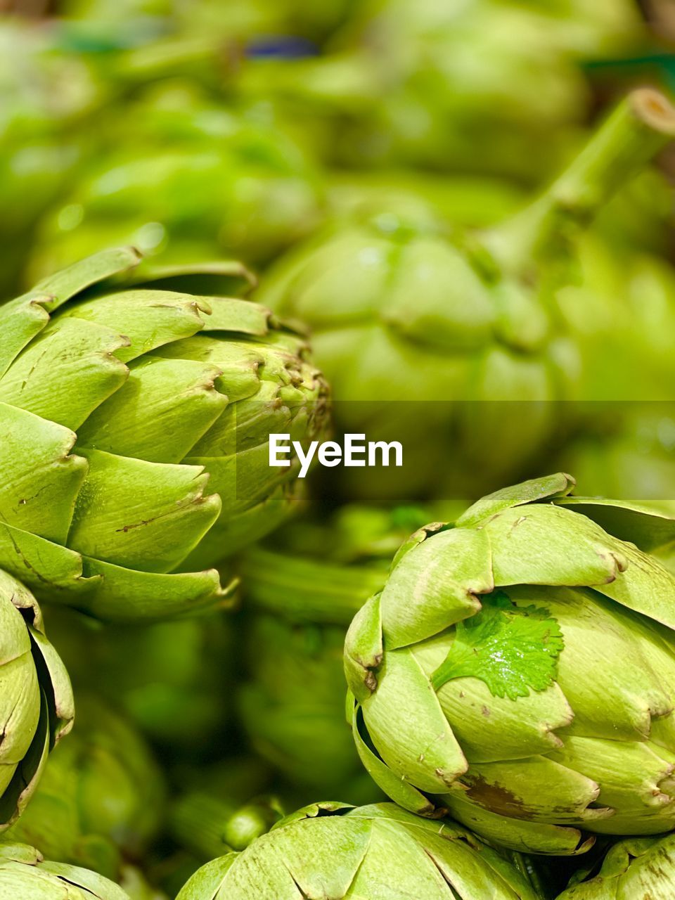 Close-up of green vegetables for sale in market