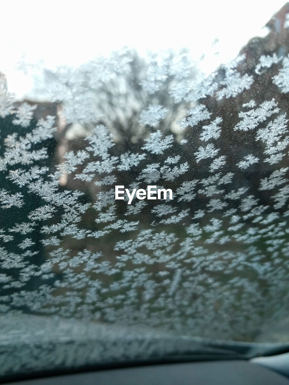 CLOSE-UP OF CAR ON WINDOW