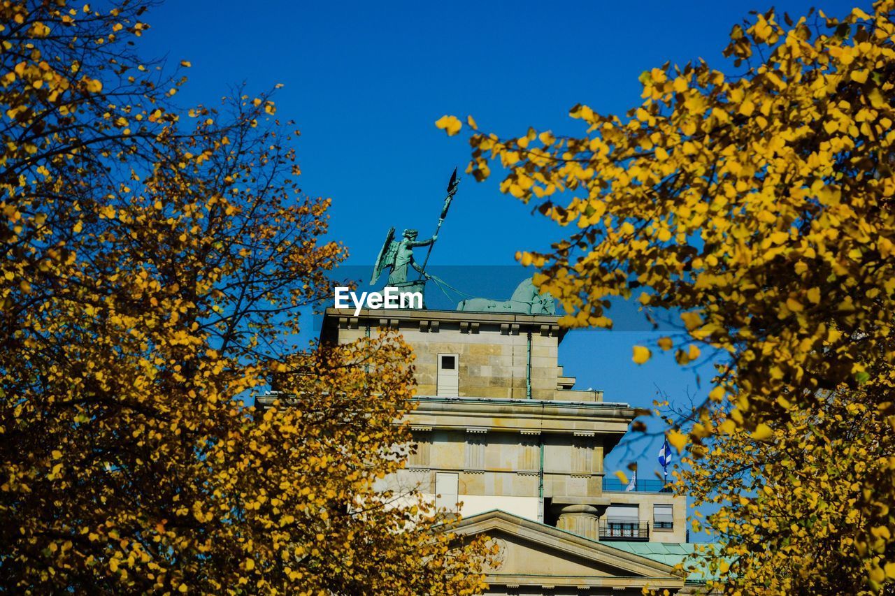 LOW ANGLE VIEW OF FLOWERING TREE AGAINST SKY DURING AUTUMN