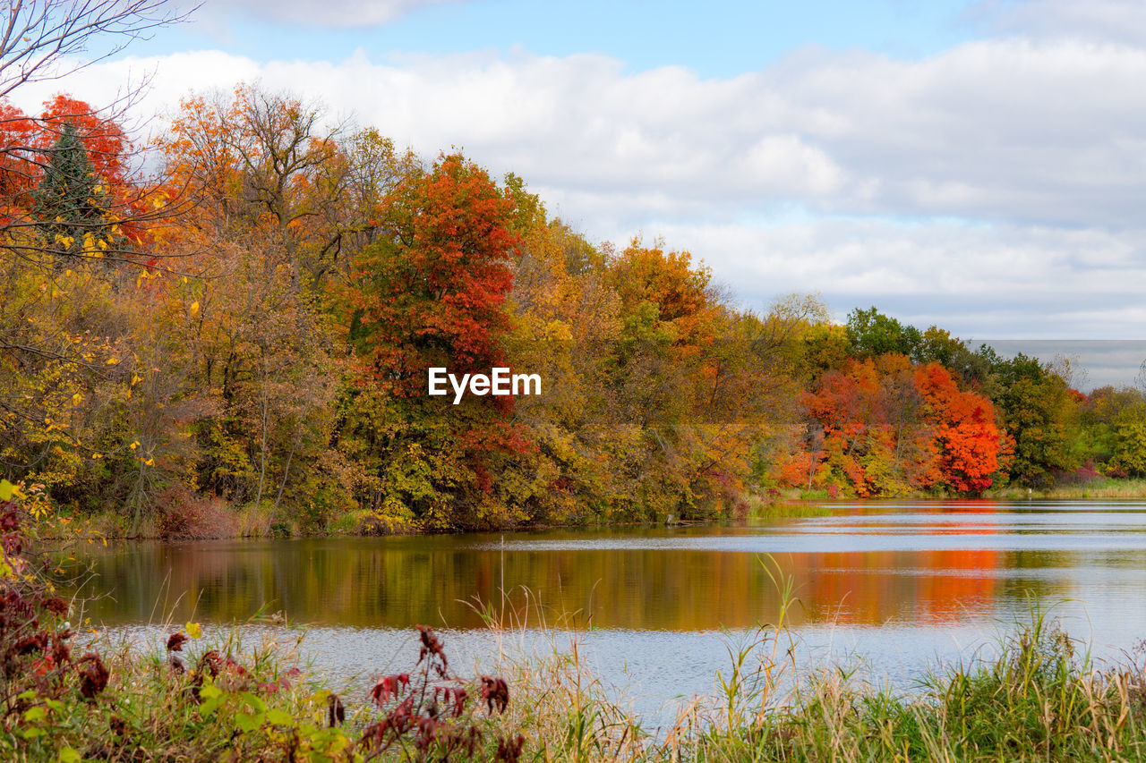 Scenic view of lake by trees against sky