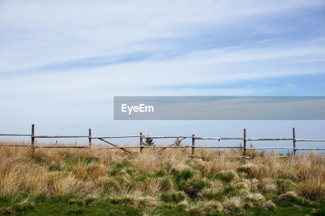 Scenic view of grassy field against cloudy sky