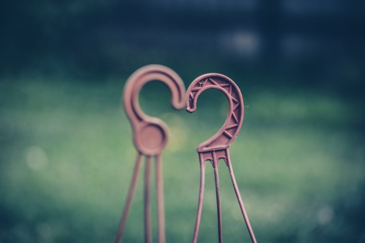 Close-up of plastic hooks