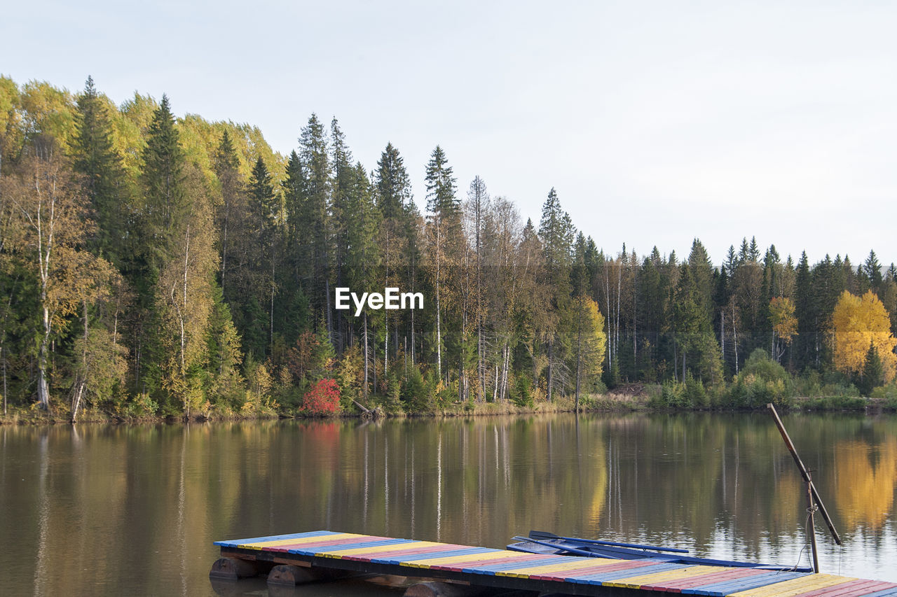 Scenic view of lake by trees in forest against sky