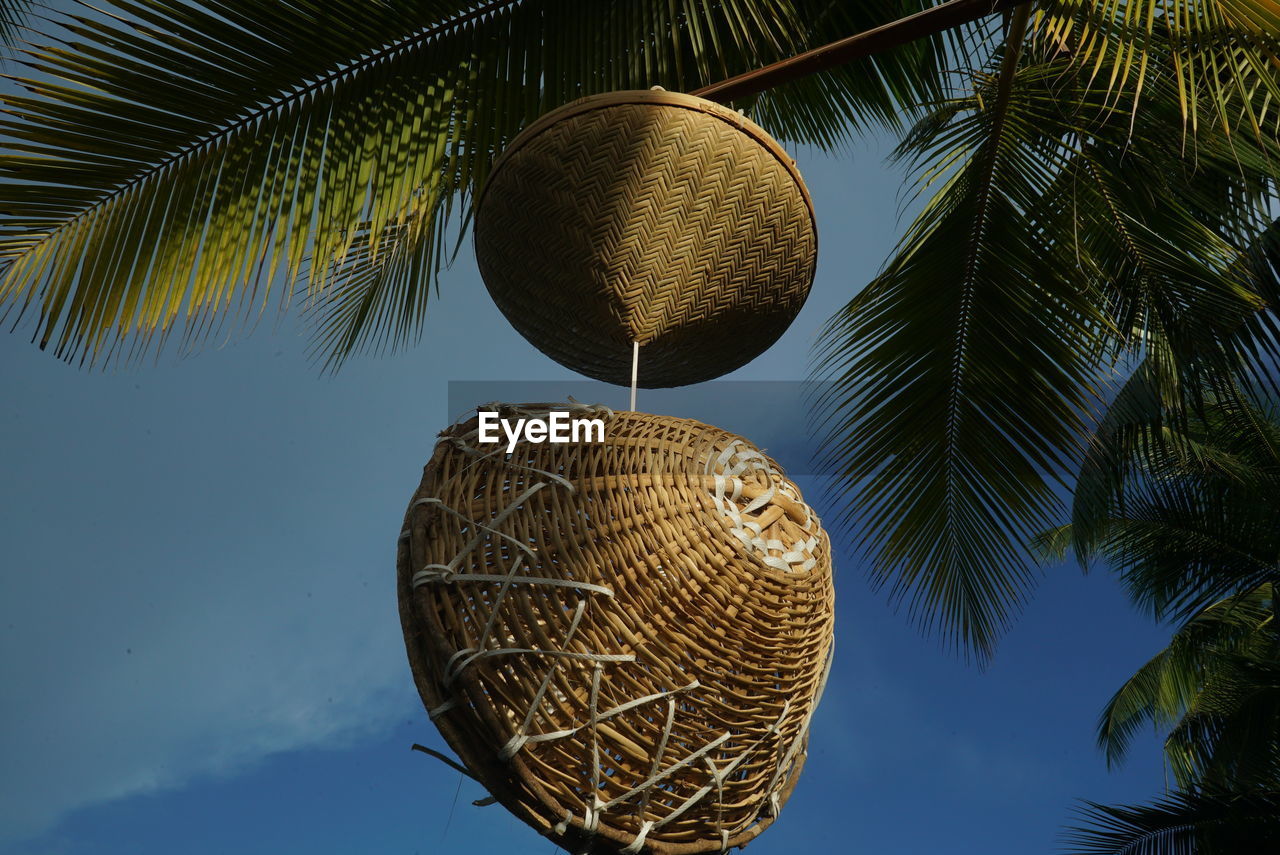 Low angle view of coconut palm tree against sky lamp