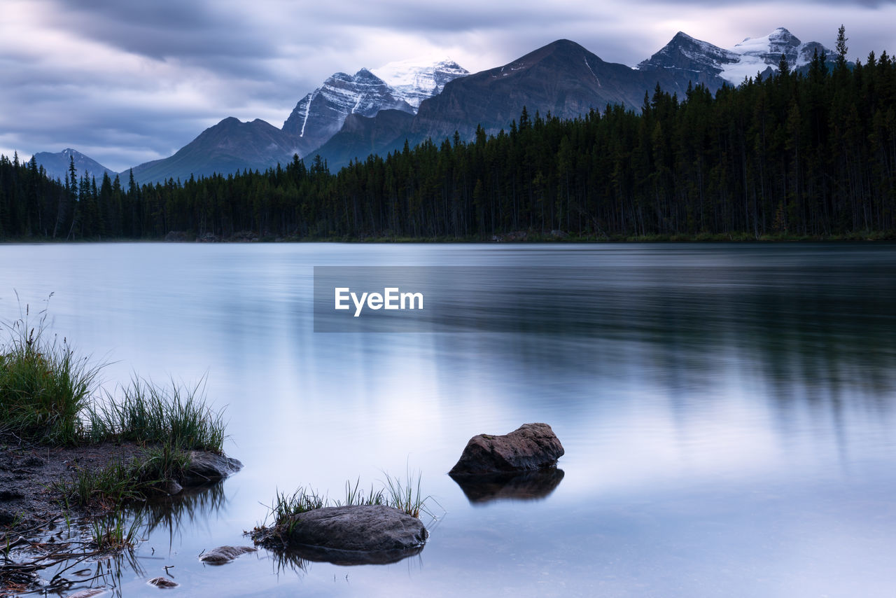 Scenic view of lake by trees against sky