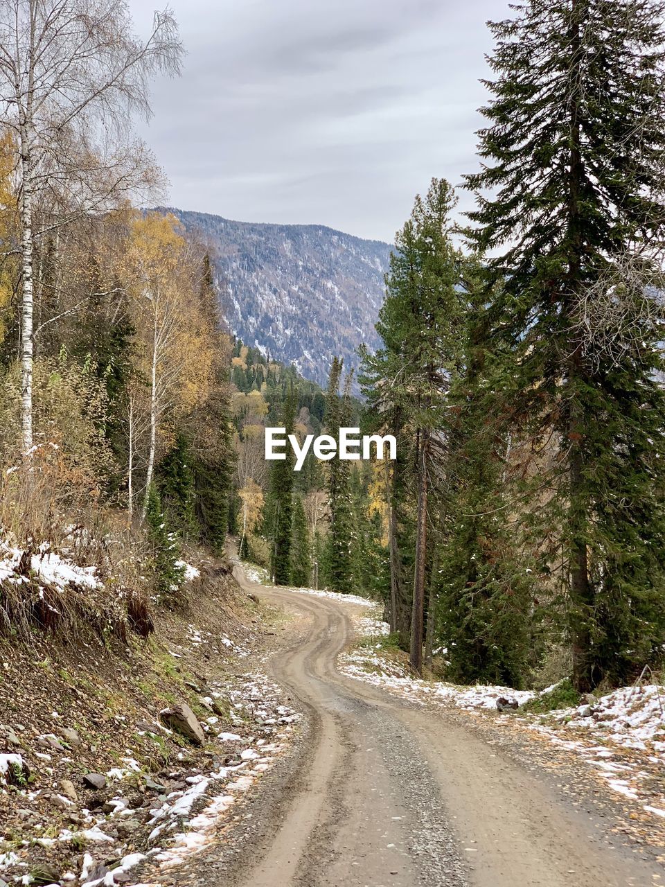 Road amidst trees and mountains against sky