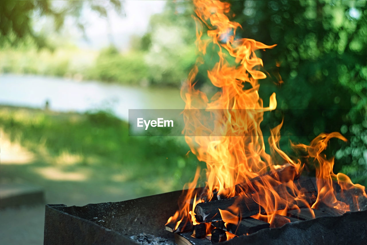 CLOSE-UP OF BURNING FIRE ON WOOD