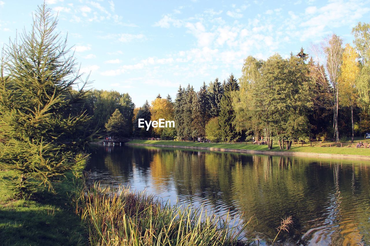 Scenic view of river and trees against sky