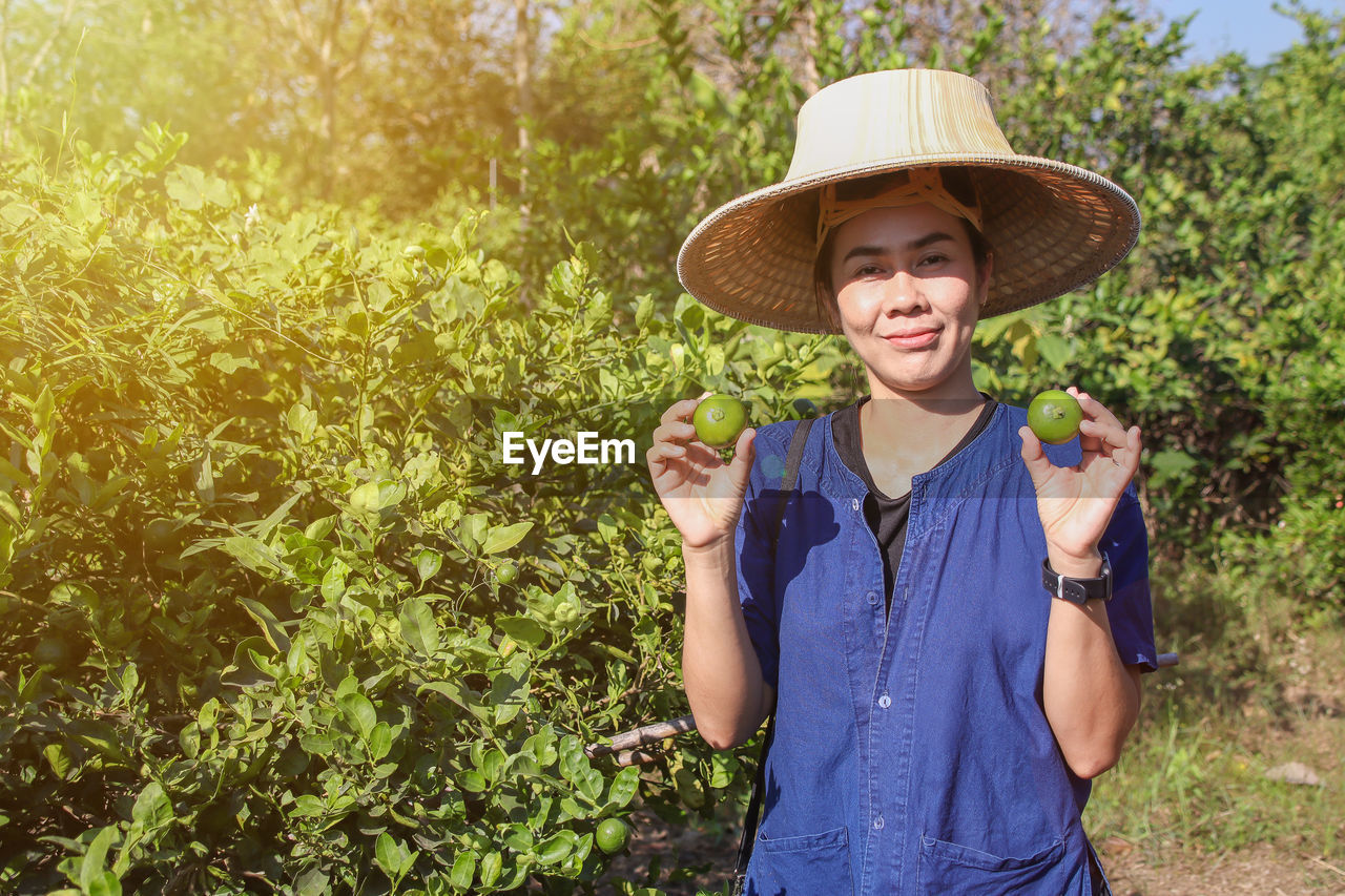 Happy asian female gardeners harvesting organic fresh green lime in the gardens.