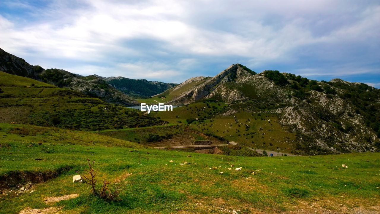 Scenic view of field against sky