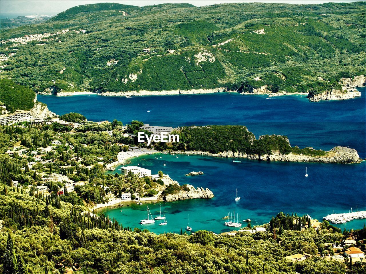 HIGH ANGLE VIEW OF SEA AND TREES