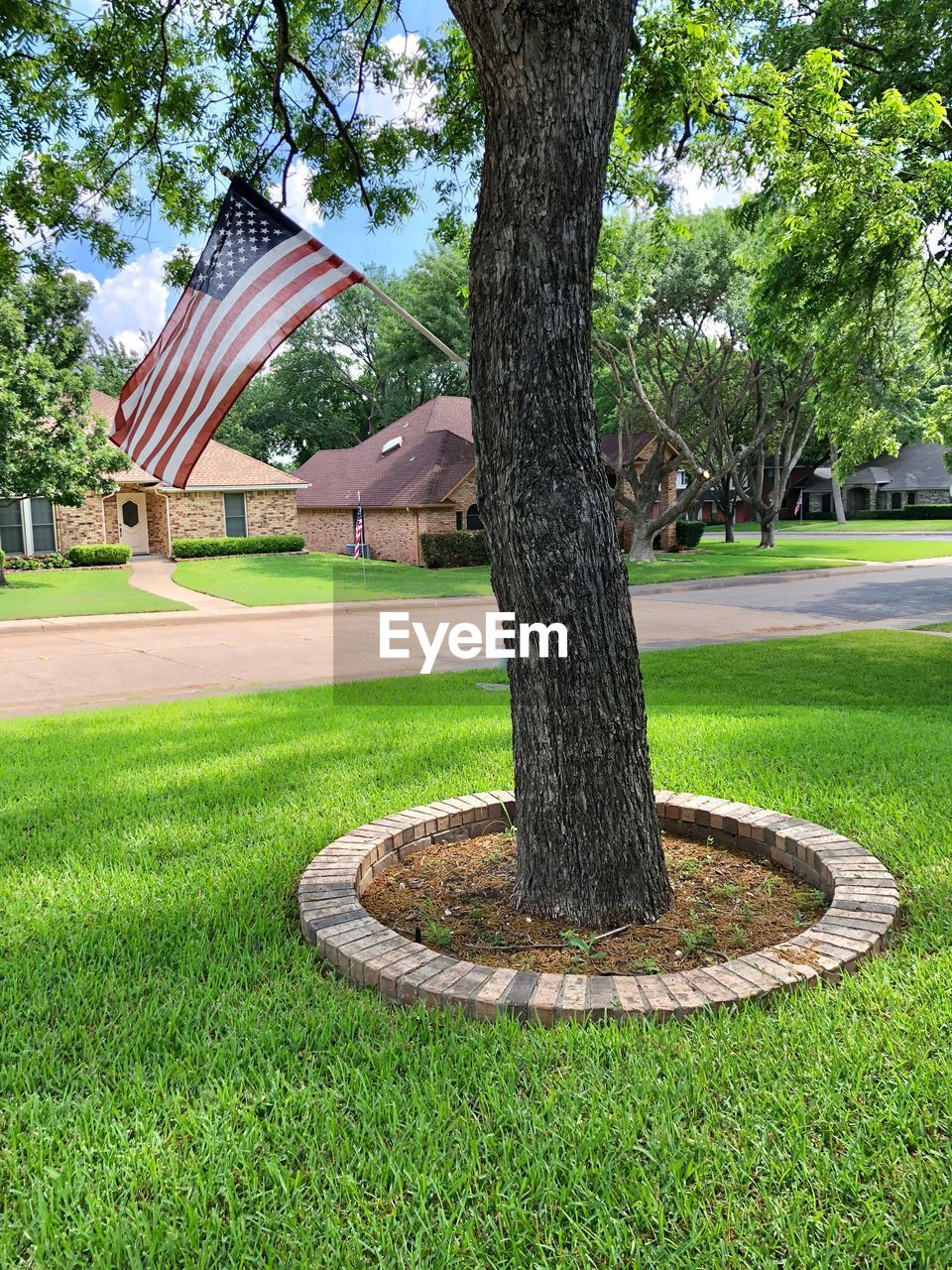 American flag on tree trunk in park