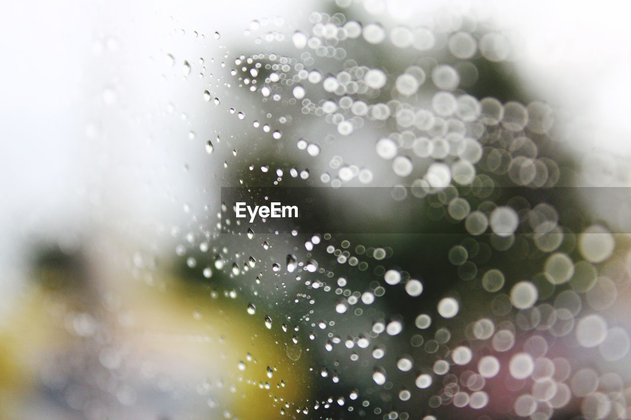 Waterdrops on glass against blurred background