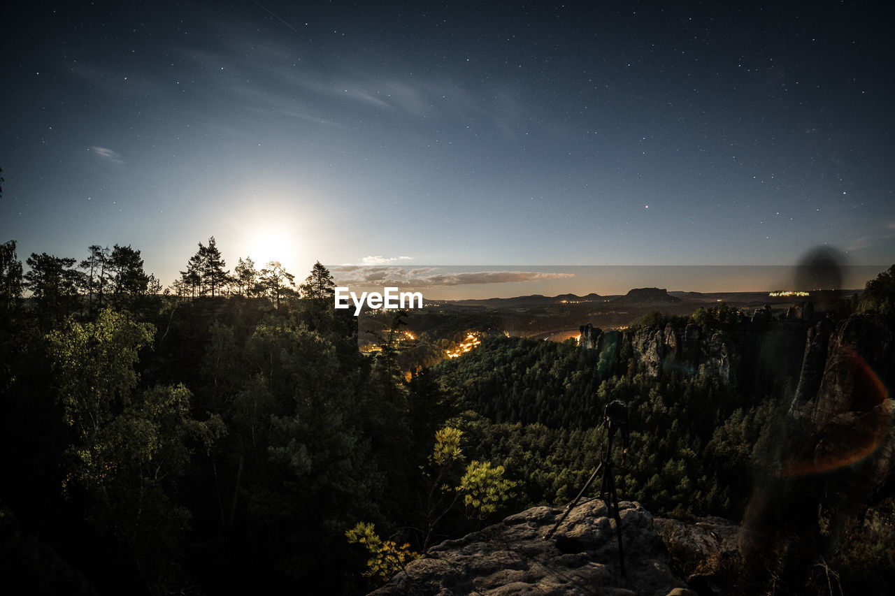 Plants growing on land against sky at night