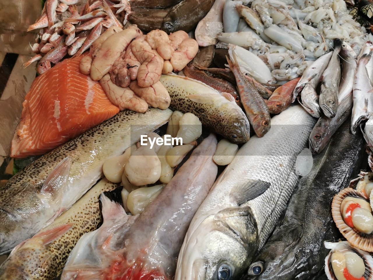 HIGH ANGLE VIEW OF FISHES FOR SALE AT MARKET