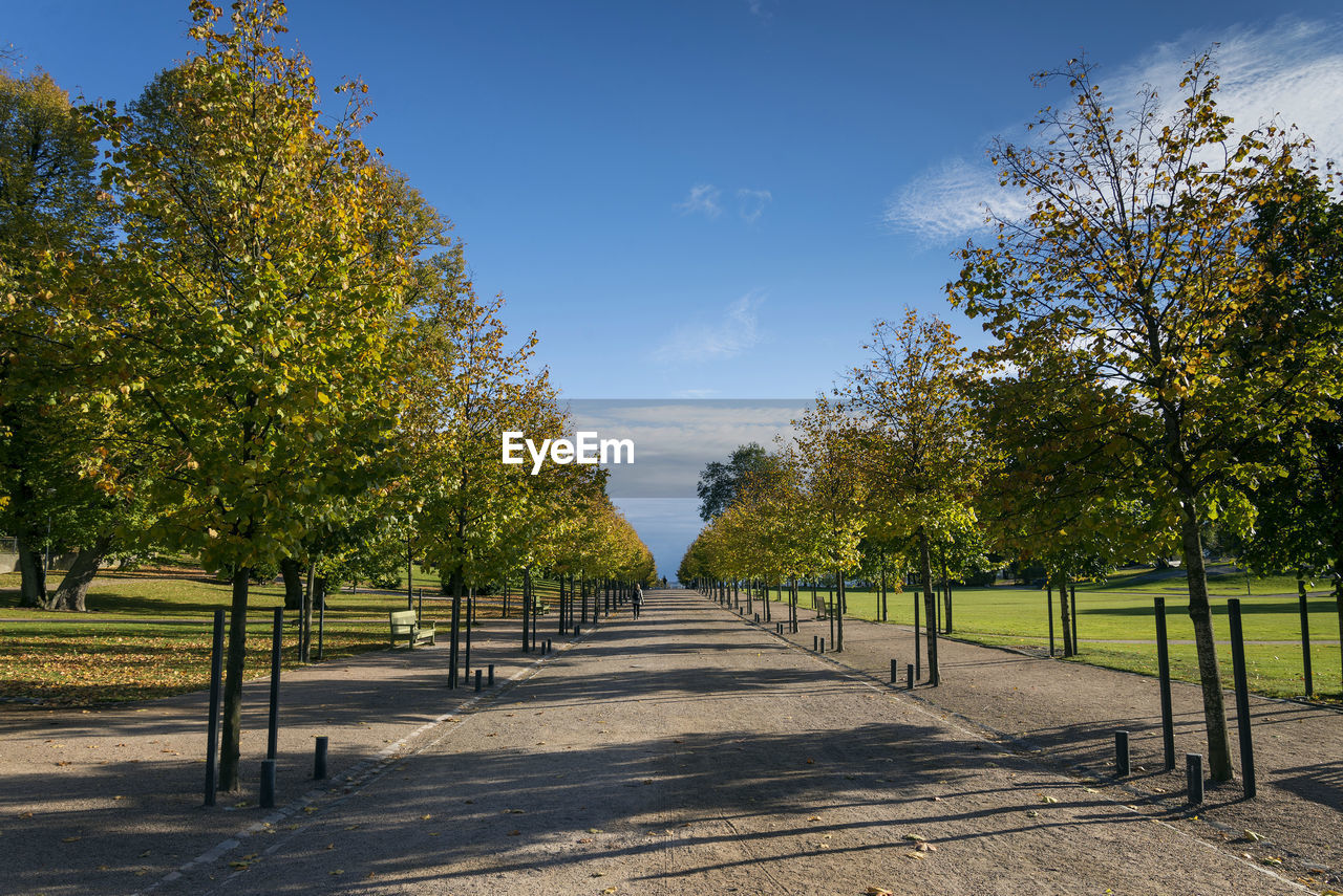 trees on field against sky during autumn