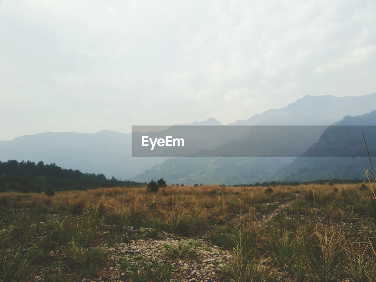 SCENIC VIEW OF FIELD AGAINST MOUNTAINS